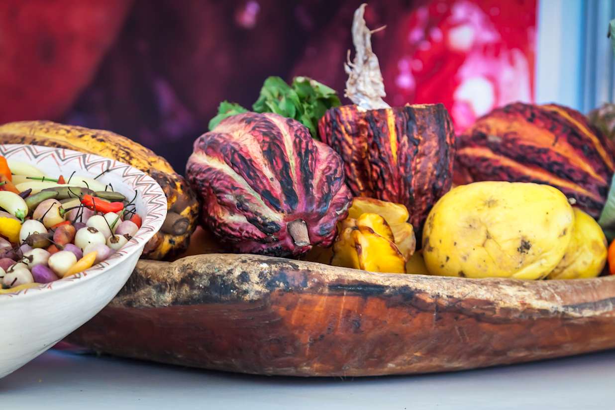 Cocoa pods